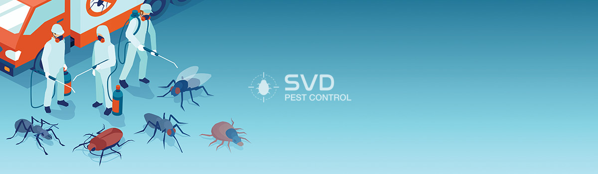 SVD Pest Control